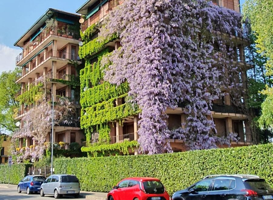 Cazzaniga, Monza – Appartamento